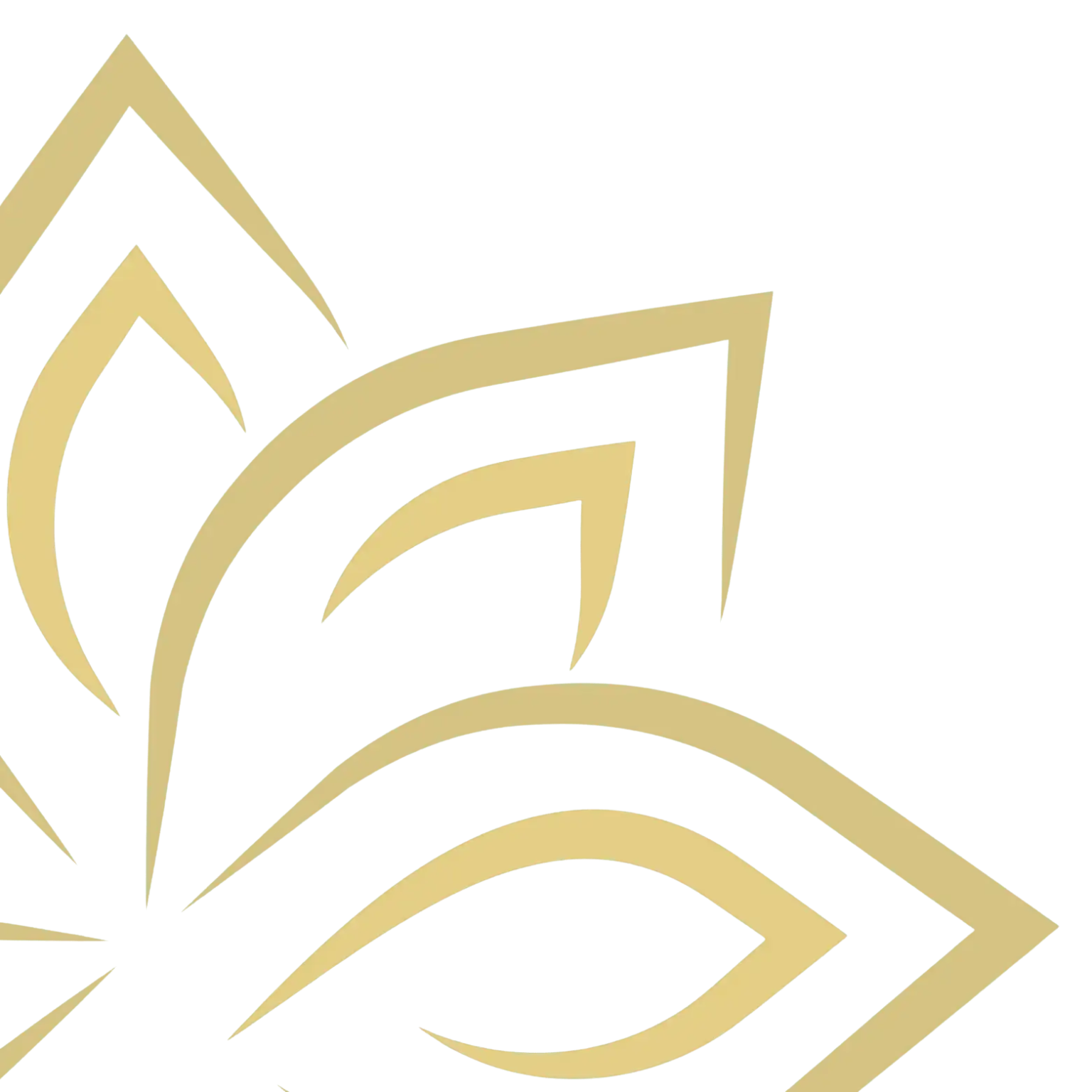 Chandee Head Spa Bangkok - Top Massage Near Me & Hair Spa